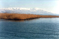 Lake Ohrid in winter (Photo: Robert Elsie).