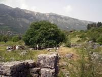 The ruins of Dodona (Photo: Robert Elsie, May 2007)