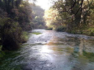 The Bistrica River near Syri i kaltër (Photo: Robert Elsie, October 2012).