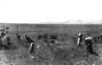 Muslim graves on the Plain of Kosovo (Photo: Fred Boissonas, 1913).