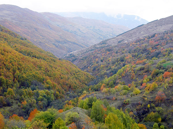 Sharr-Gebirge südlich von Prizren (Foto: Robert Elsie, Oktober 2006)